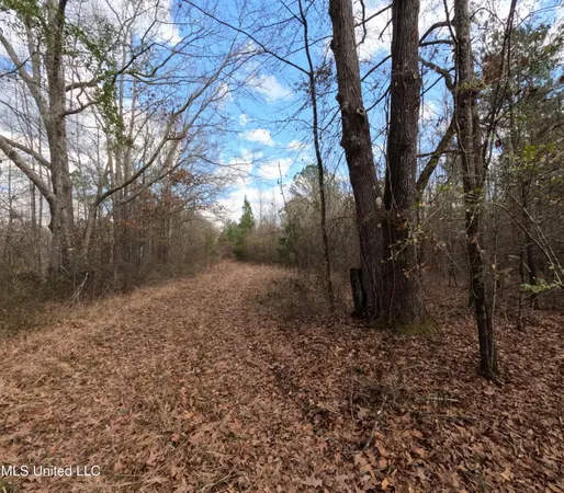 $485,000 | St-john Road Road, Braxton, MS 39044