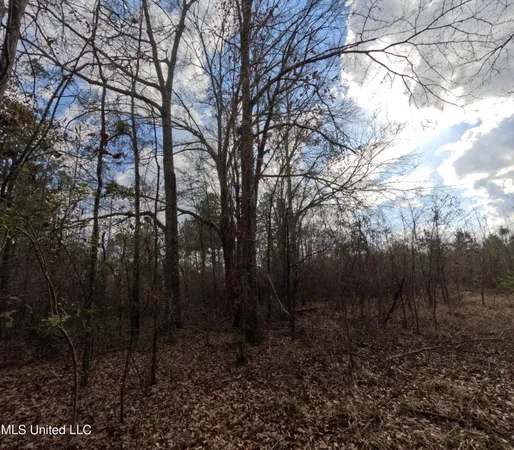 $485,000 | St-john Road Road, Braxton, MS 39044