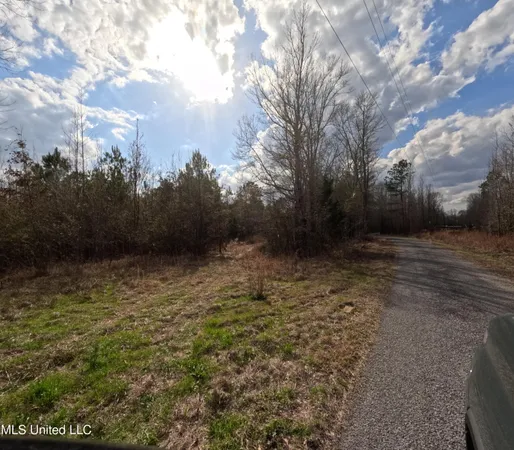 $485,000 | St-john Road Road, Braxton, MS 39044