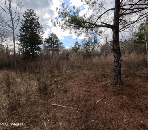 $485,000 | St-john Road Road, Braxton, MS 39044