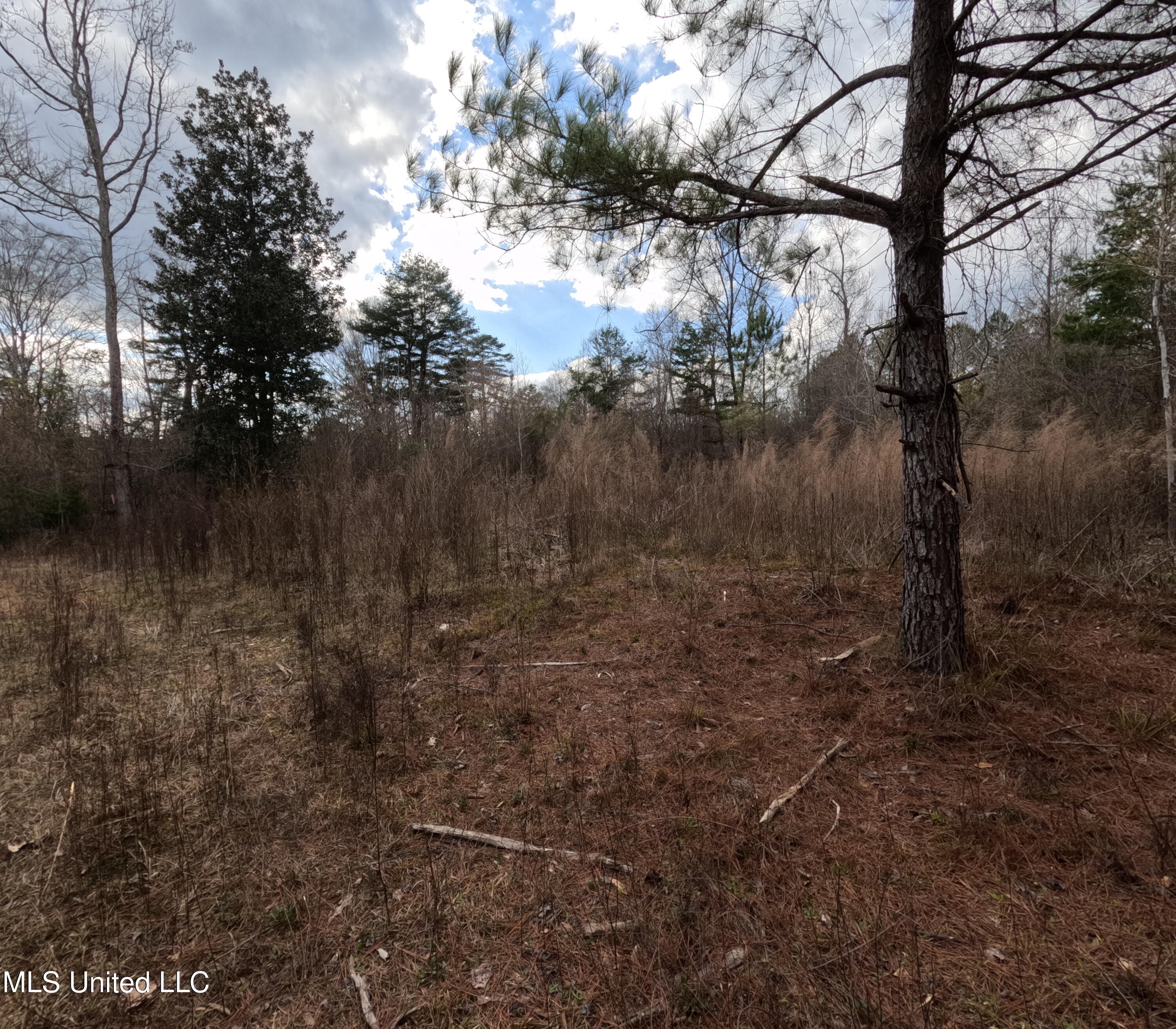 St-john Road Road Braxton, MS 39044 - Photo 2 of 38 GOPR0875