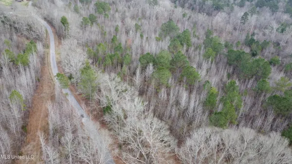$485,000 | St-john Road Road, Braxton, MS 39044