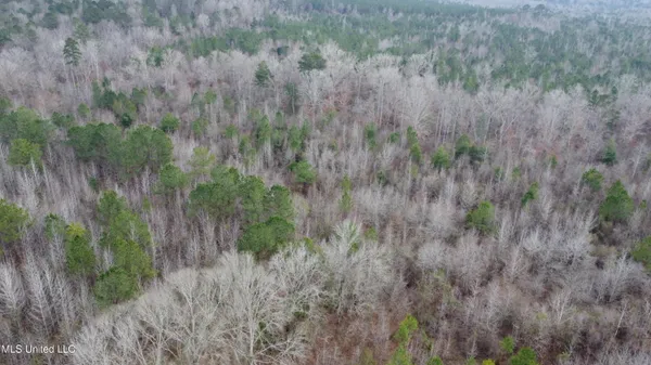$485,000 | St-john Road Road, Braxton, MS 39044