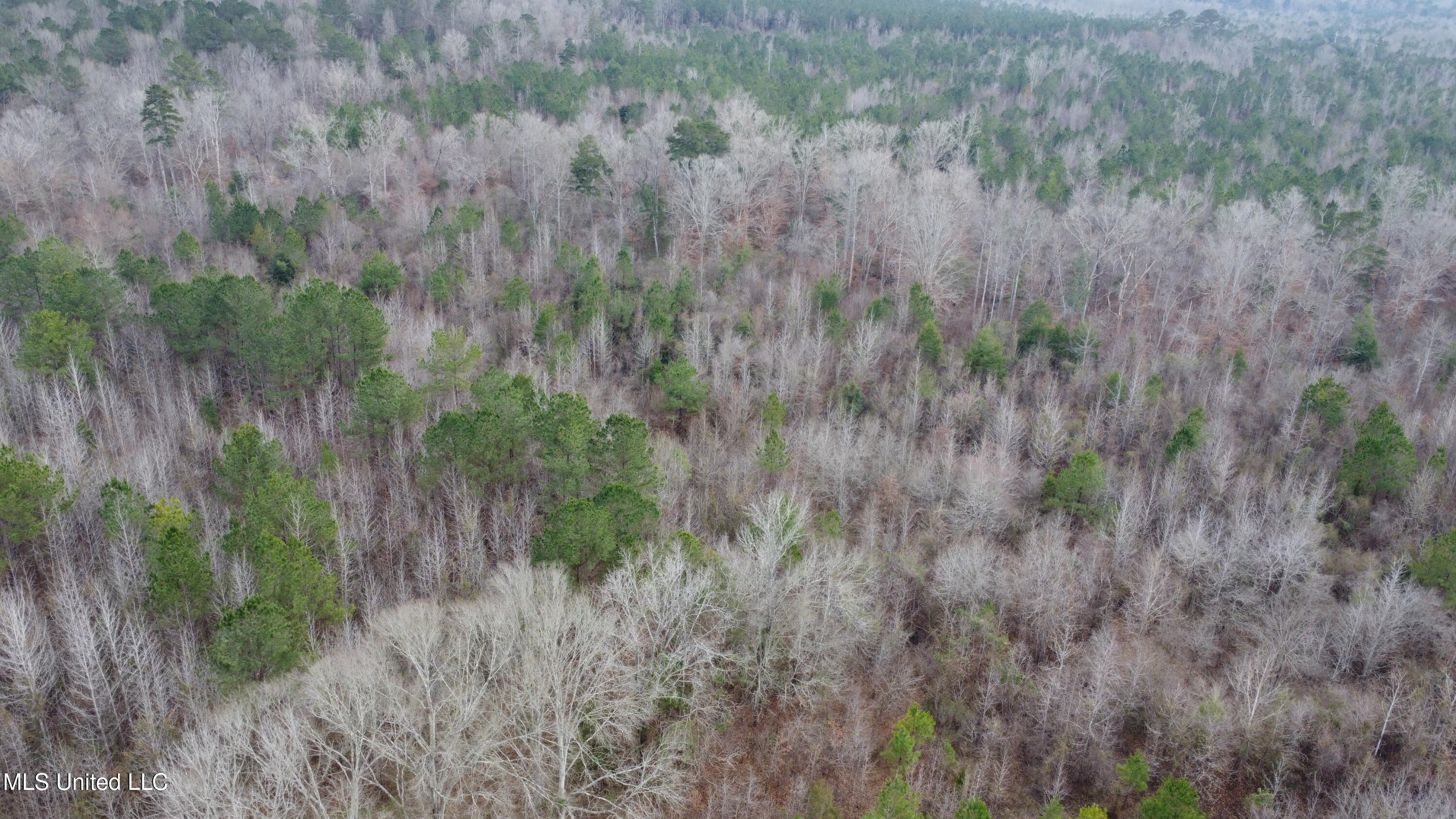 St-john Road Road Braxton, MS 39044 - Photo 22 of 38 DJI_0744