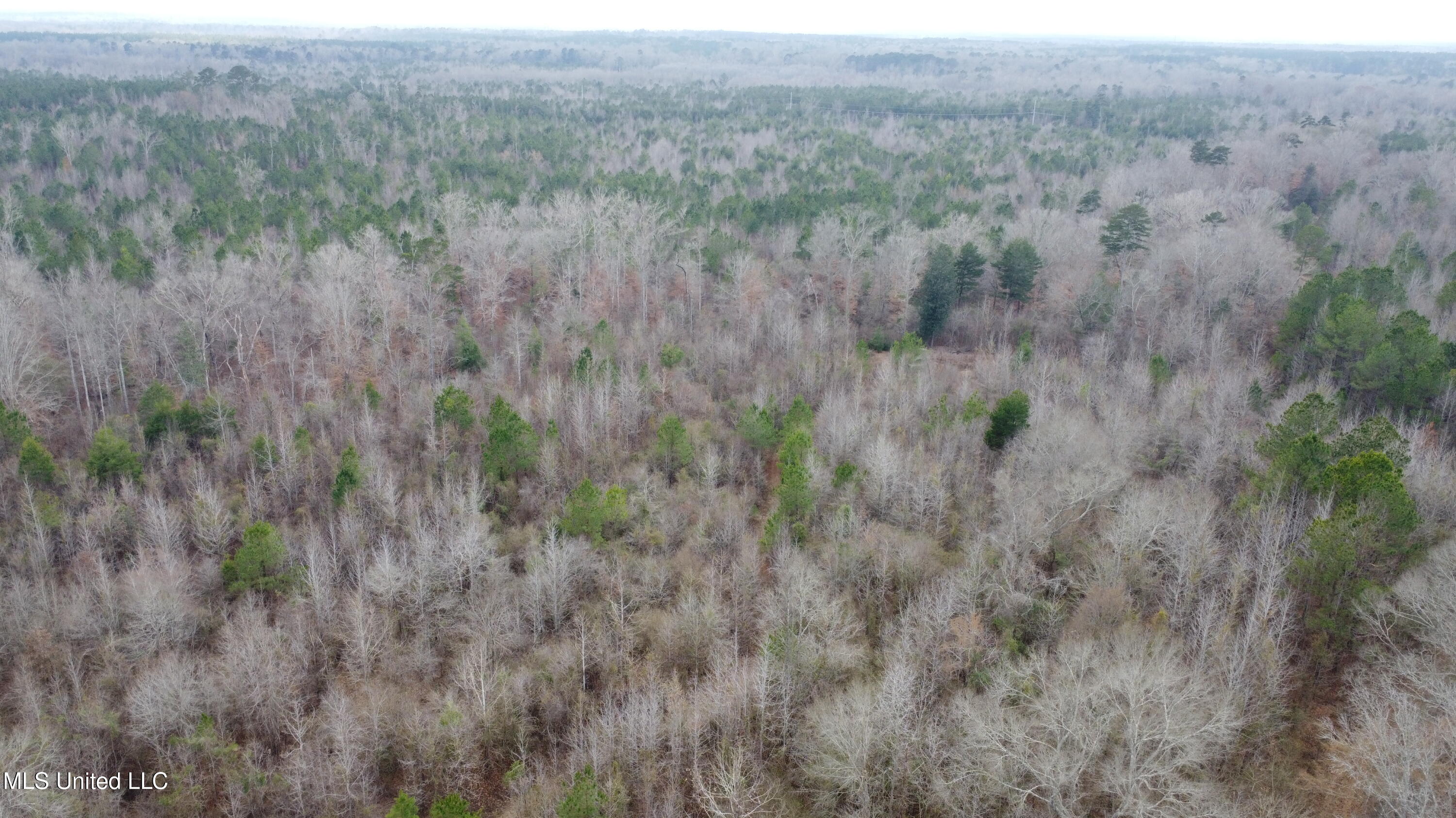 St-john Road Road Braxton, MS 39044 - Photo 23 of 38 DJI_0745