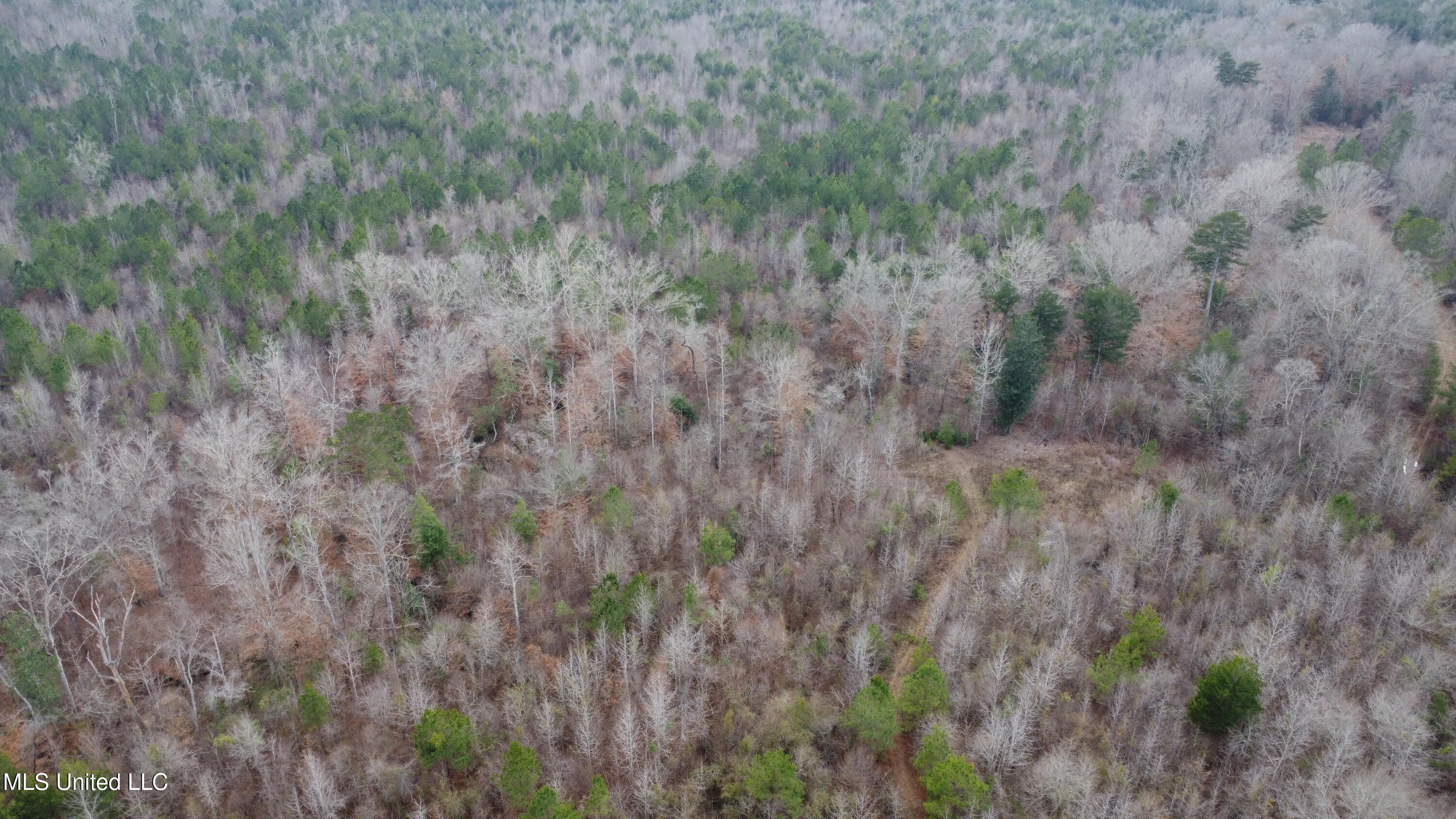 St-john Road Road Braxton, MS 39044 - Photo 24 of 38 DJI_0746