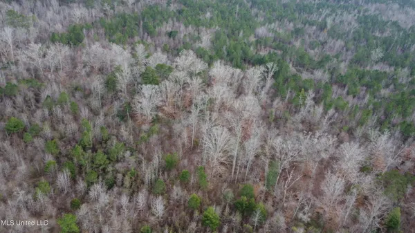 $485,000 | St-john Road Road, Braxton, MS 39044