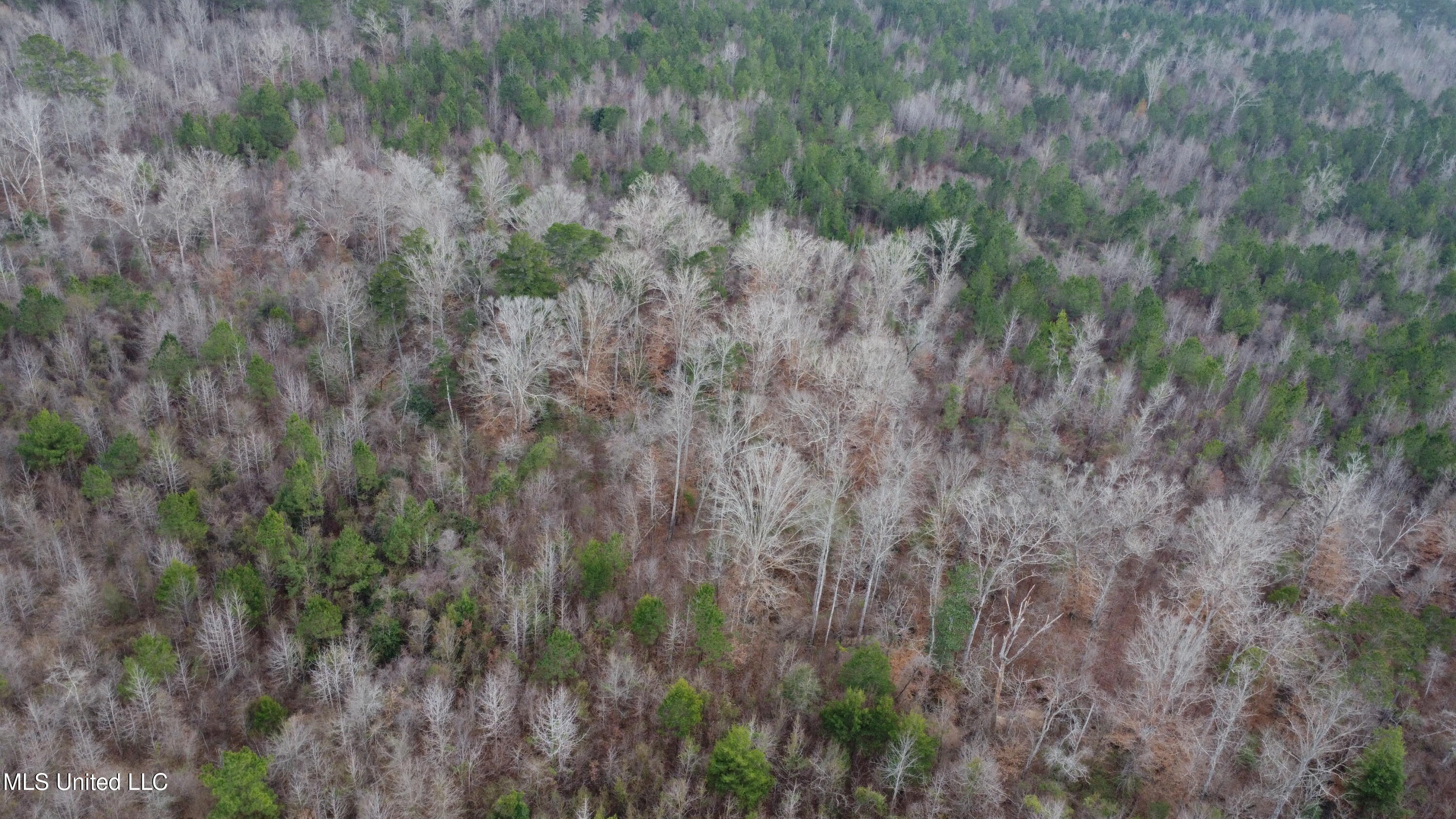St-john Road Road Braxton, MS 39044 - Photo 25 of 38 DJI_0747