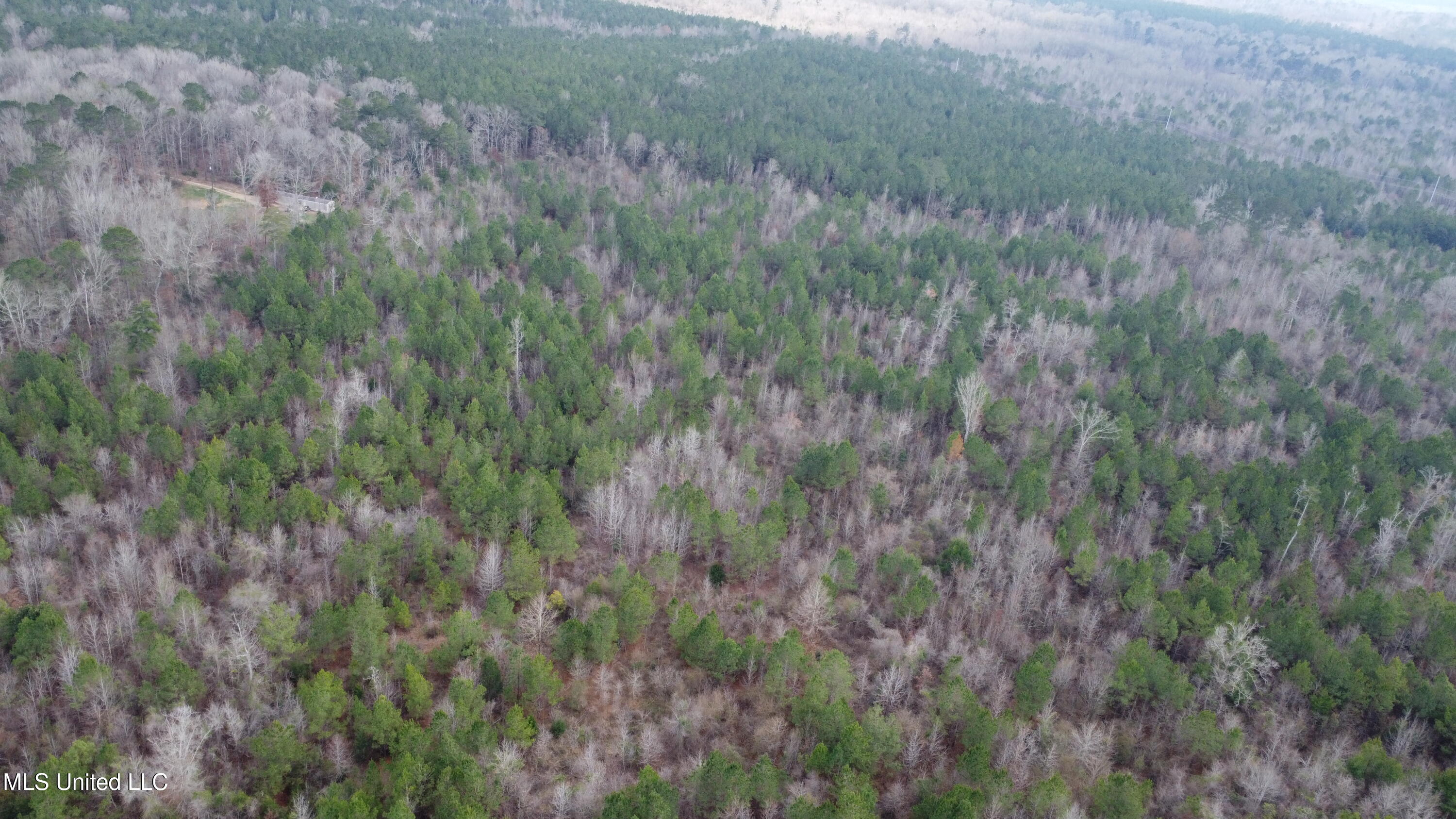 St-john Road Road Braxton, MS 39044 - Photo 26 of 38 DJI_0748