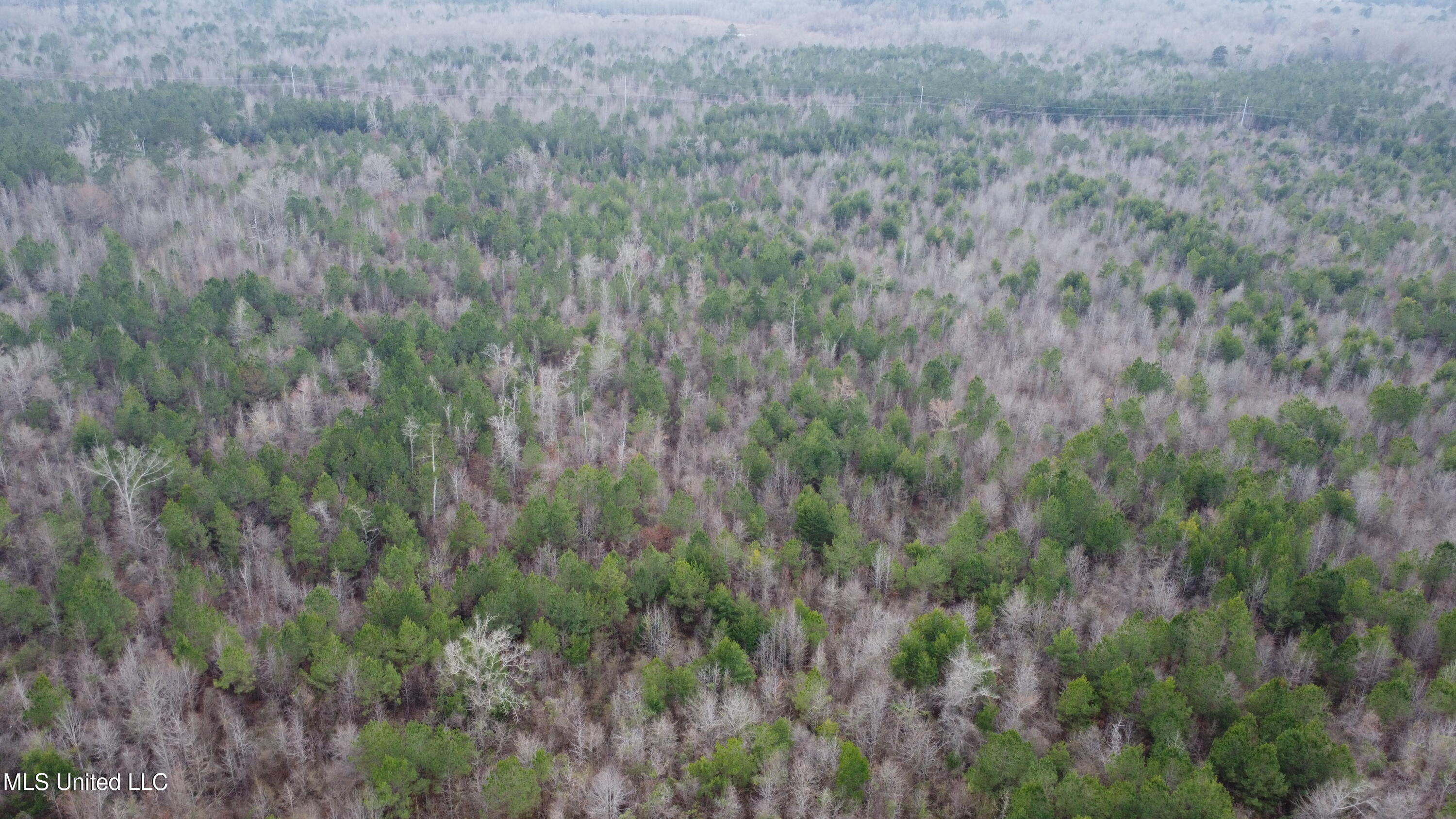 St-john Road Road Braxton, MS 39044 - Photo 27 of 38 DJI_0749