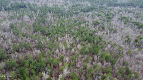 $485,000 | St-john Road Road, Braxton, MS 39044