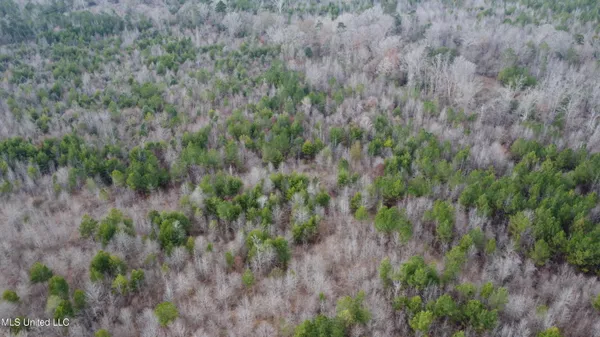 $485,000 | St-john Road Road, Braxton, MS 39044