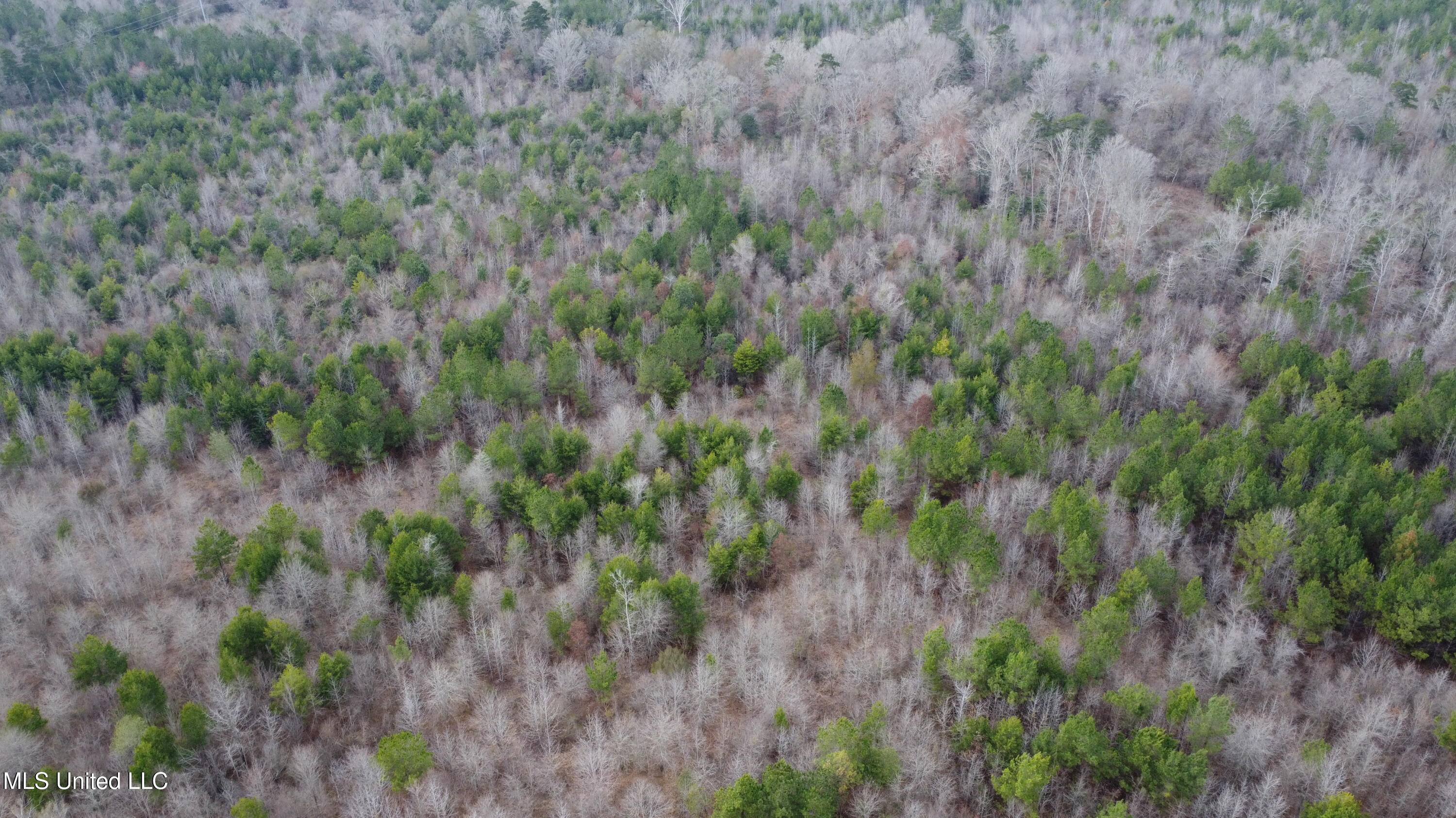 St-john Road Road Braxton, MS 39044 - Photo 29 of 38 DJI_0751