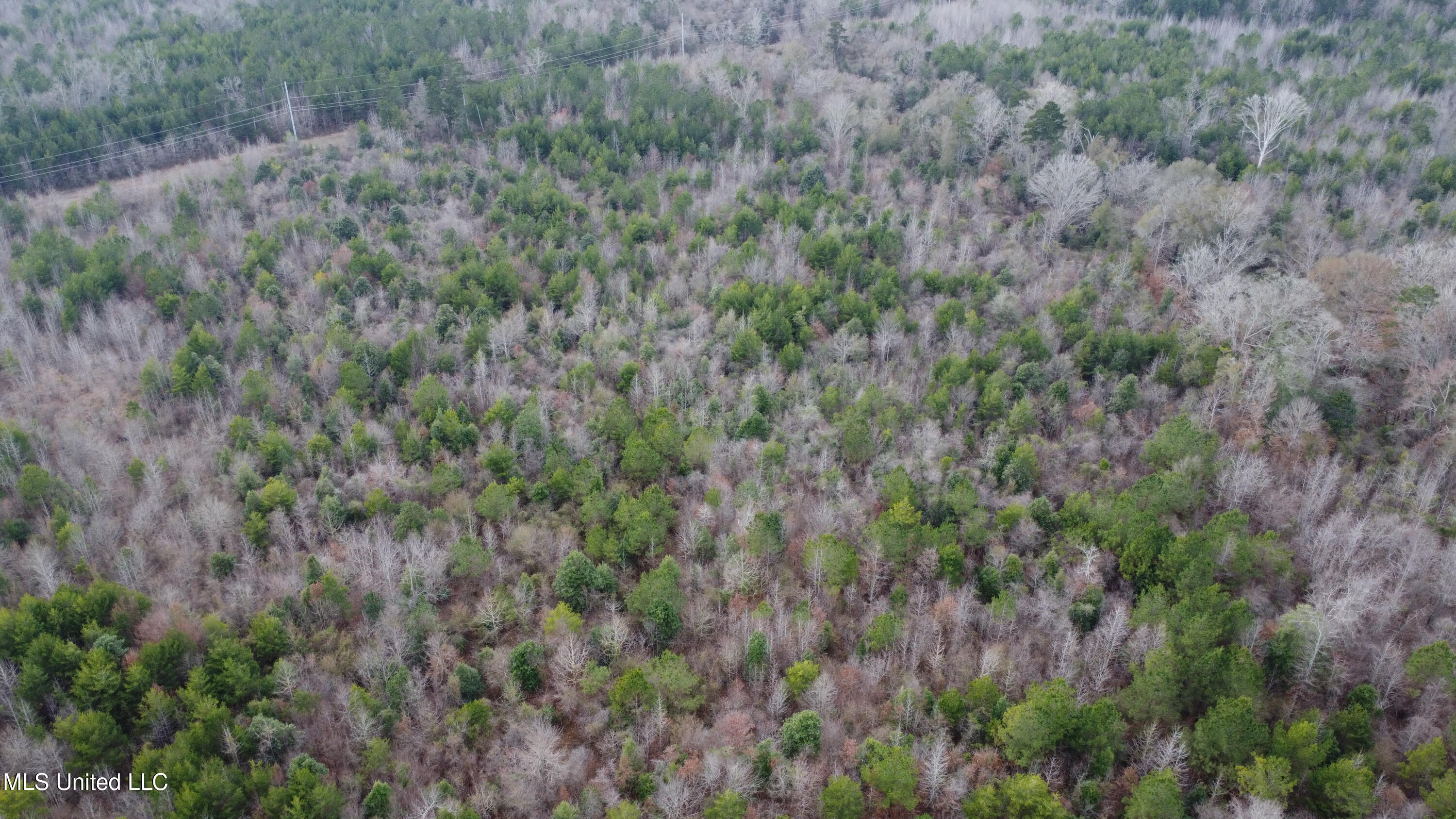 St-john Road Road Braxton, MS 39044 - Photo 30 of 38 DJI_0752