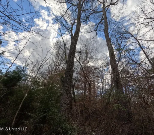 $485,000 | St-john Road Road, Braxton, MS 39044