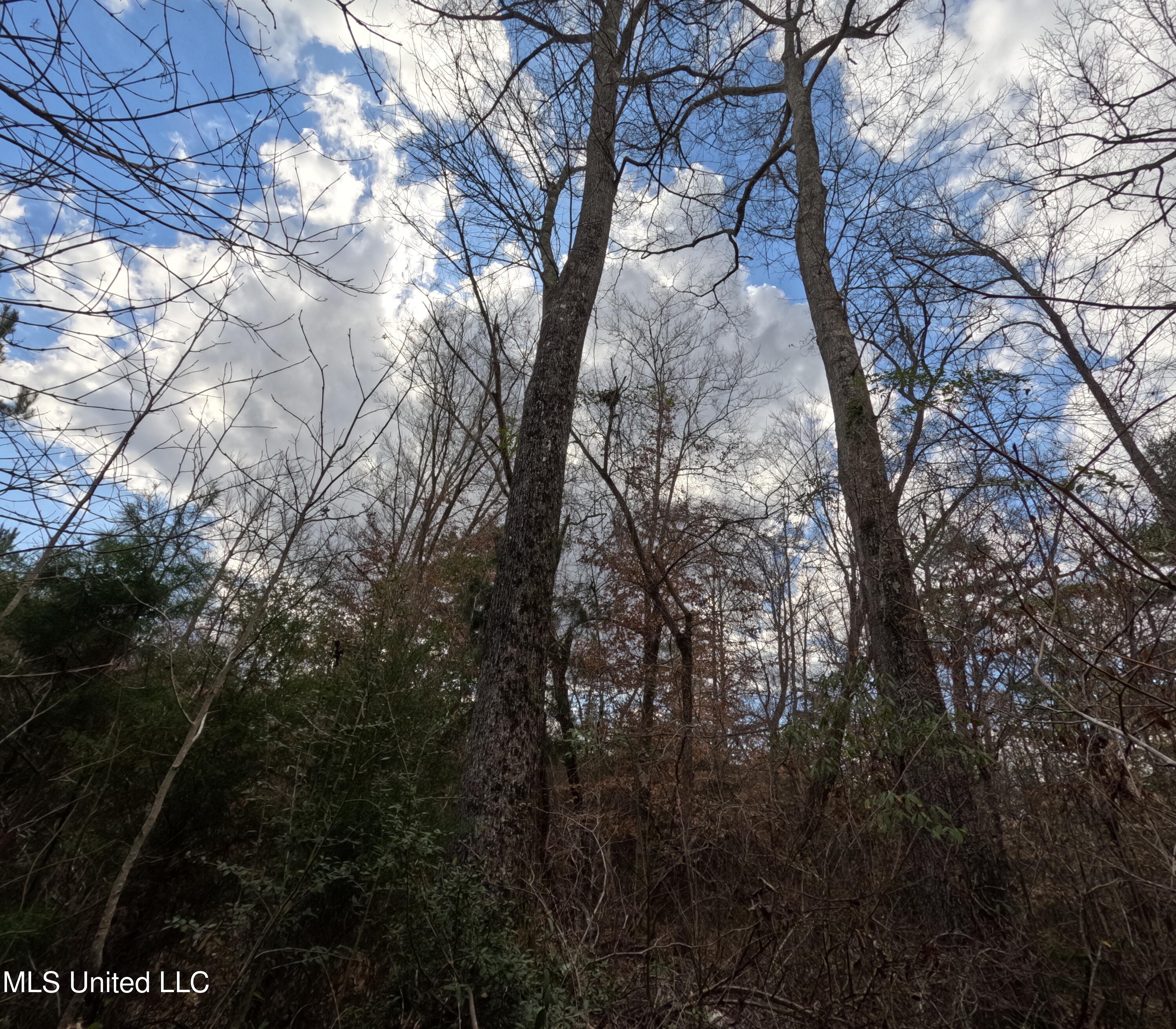 St-john Road Road Braxton, MS 39044 - Photo 3 of 38 GOPR0877