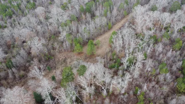 $485,000 | St-john Road Road, Braxton, MS 39044