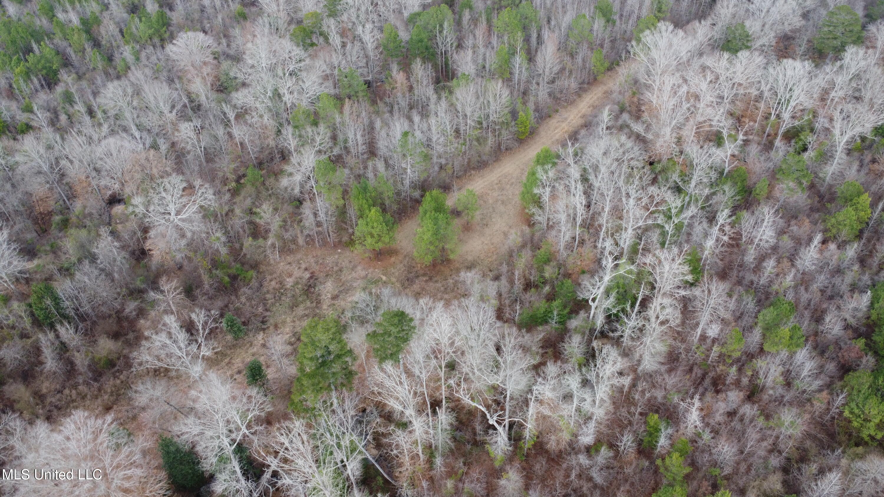 St-john Road Road Braxton, MS 39044 - Photo 31 of 38 DJI_0753