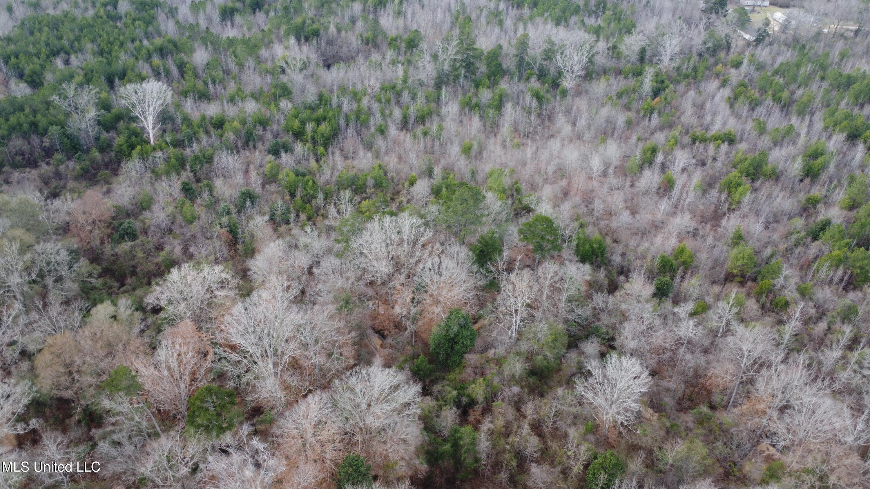 St-john Road Road Braxton, MS 39044 - Photo 32 of 38 DJI_0754