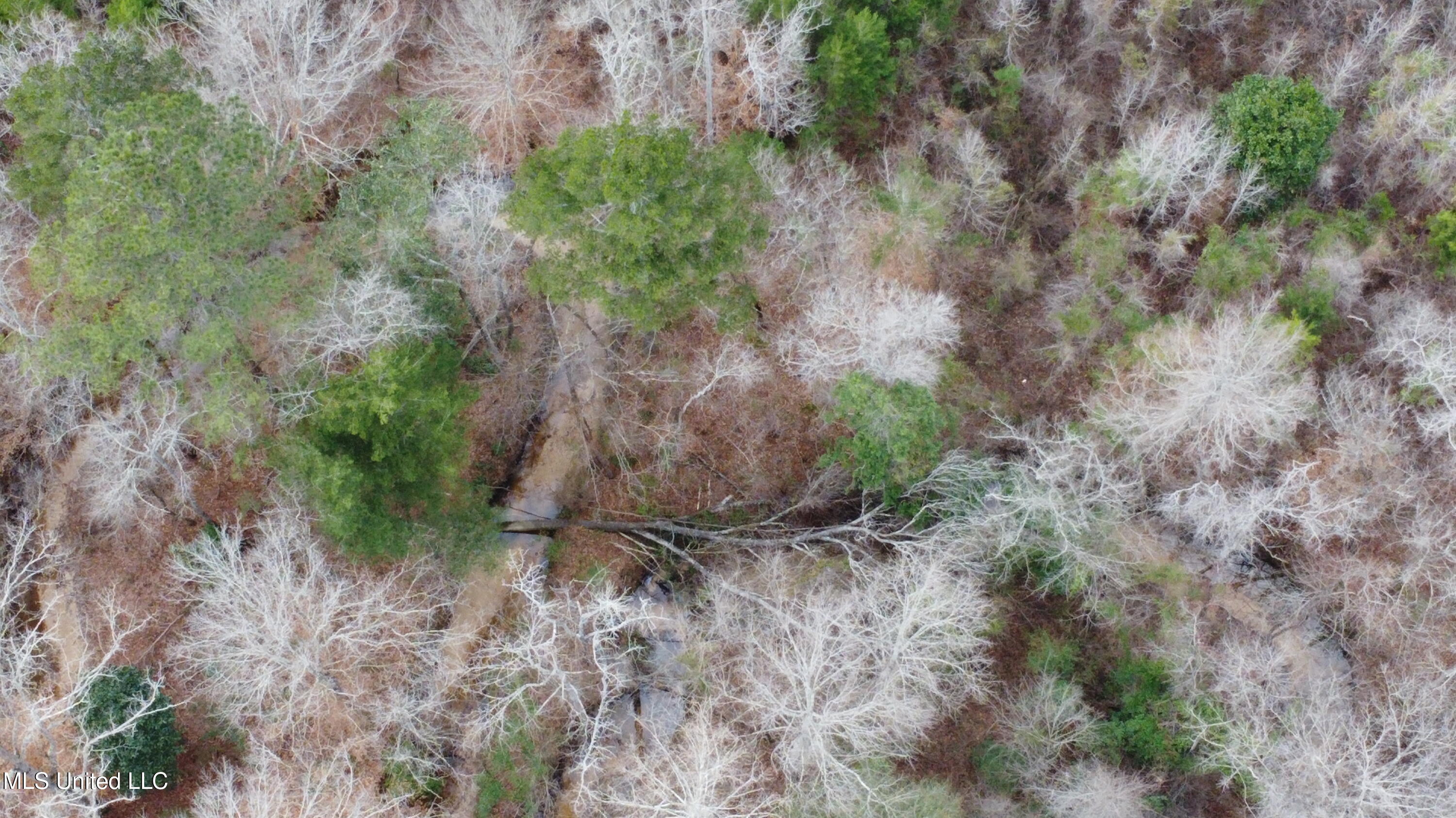 St-john Road Road Braxton, MS 39044 - Photo 33 of 38 DJI_0755