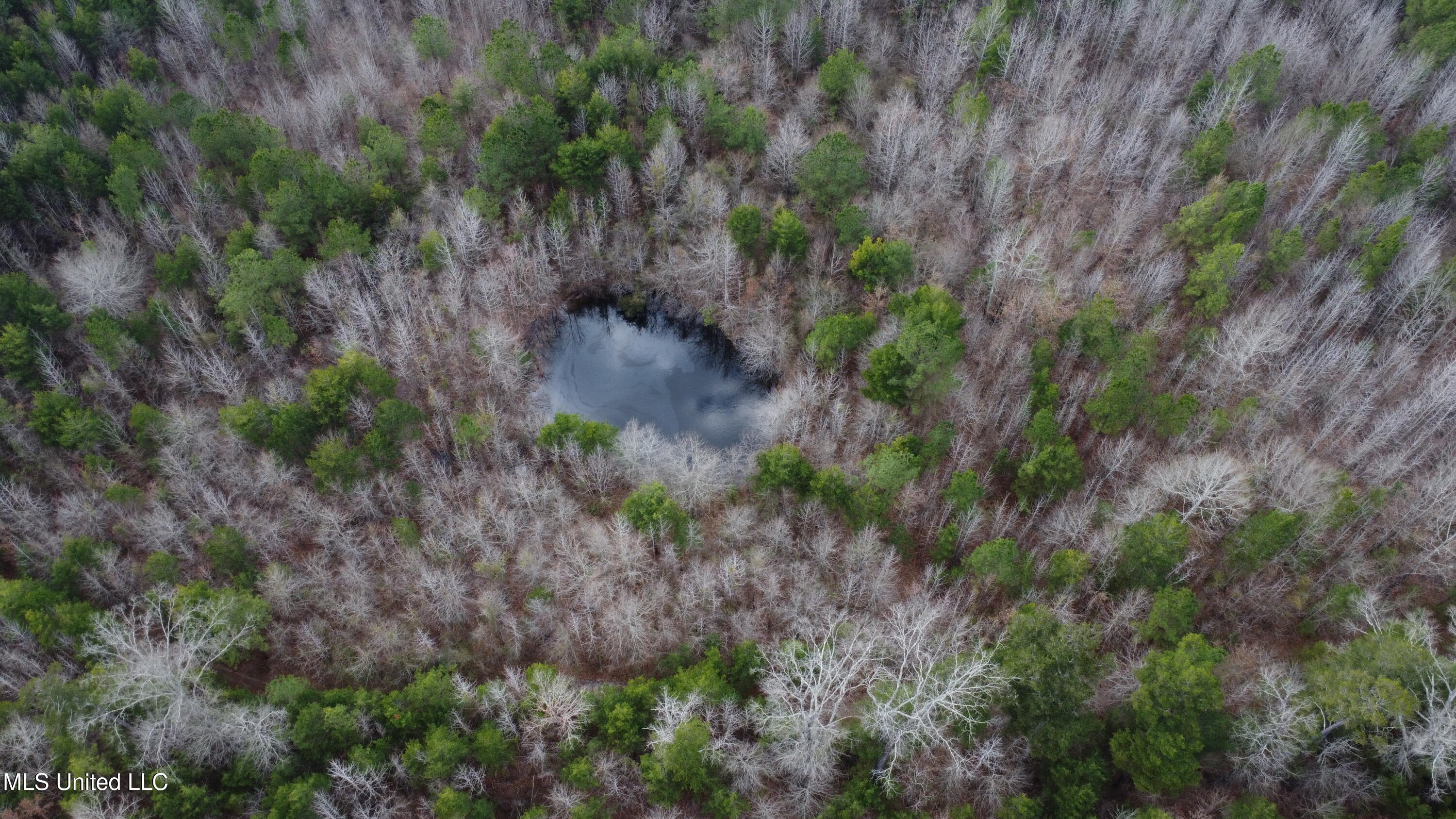 St-john Road Road Braxton, MS 39044 - Photo 34 of 38 DJI_0756