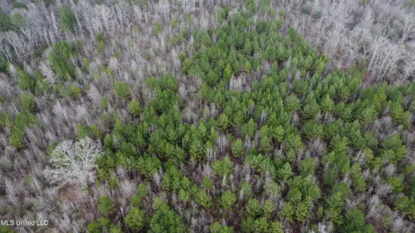 $485,000 | St-john Road Road, Braxton, MS 39044