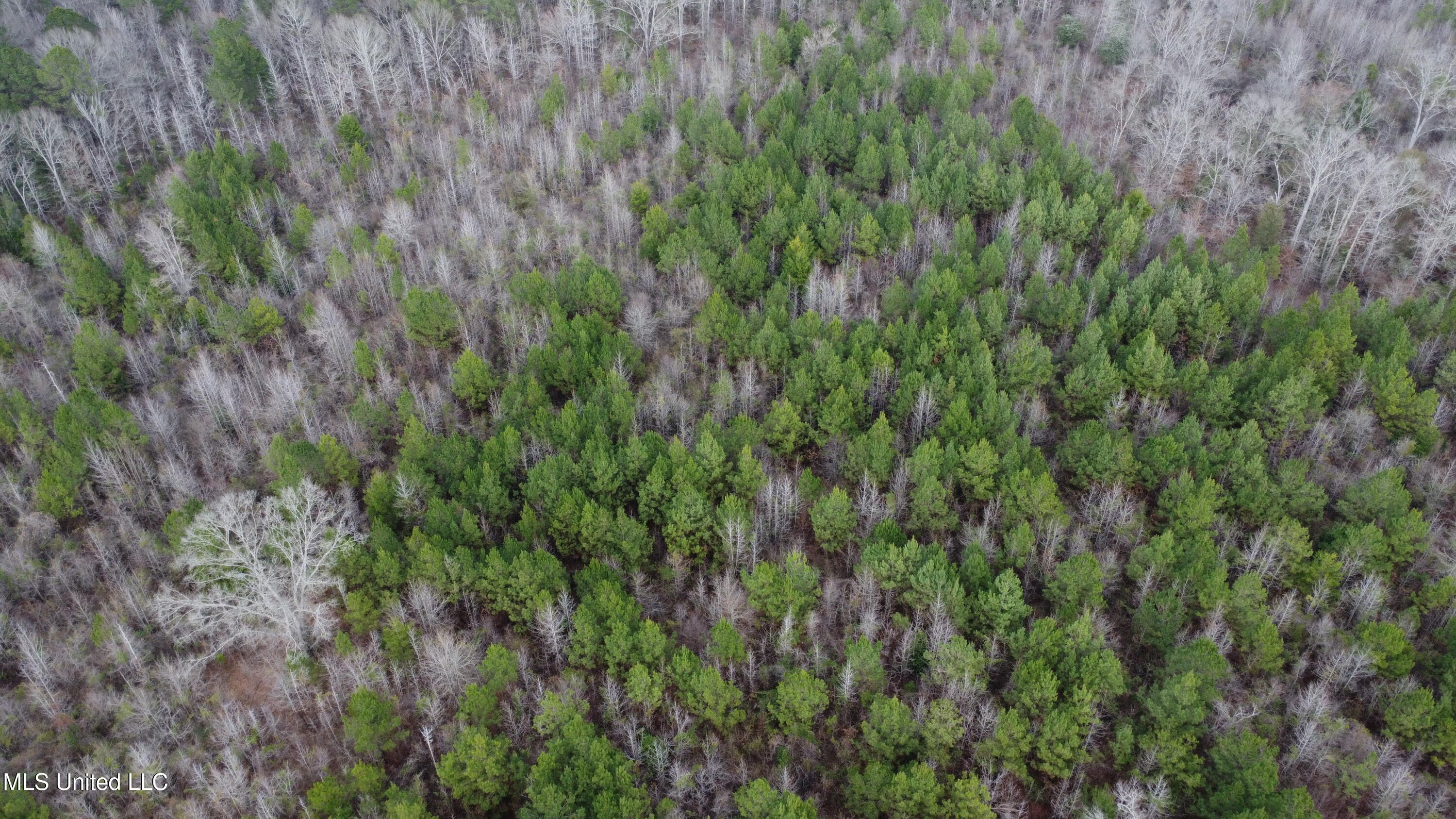 St-john Road Road Braxton, MS 39044 - Photo 35 of 38 DJI_0757
