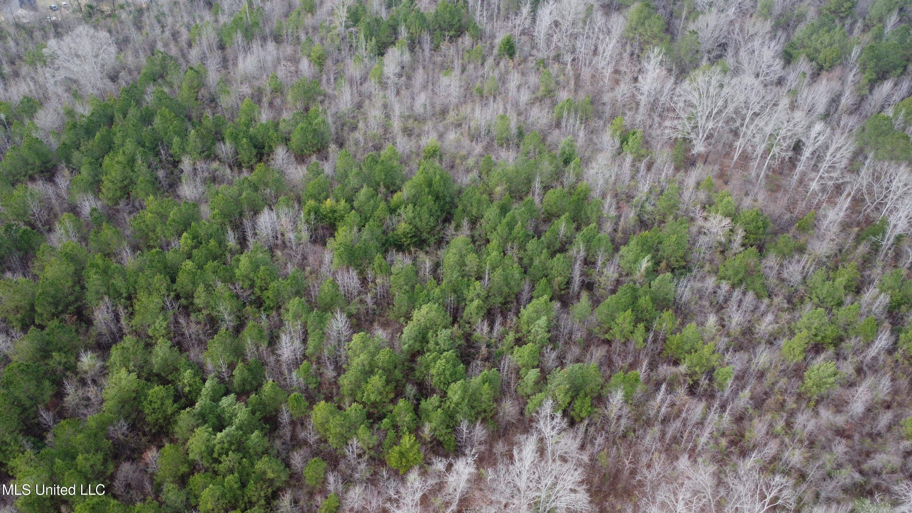 St-john Road Road Braxton, MS 39044 - Photo 37 of 38 DJI_0759