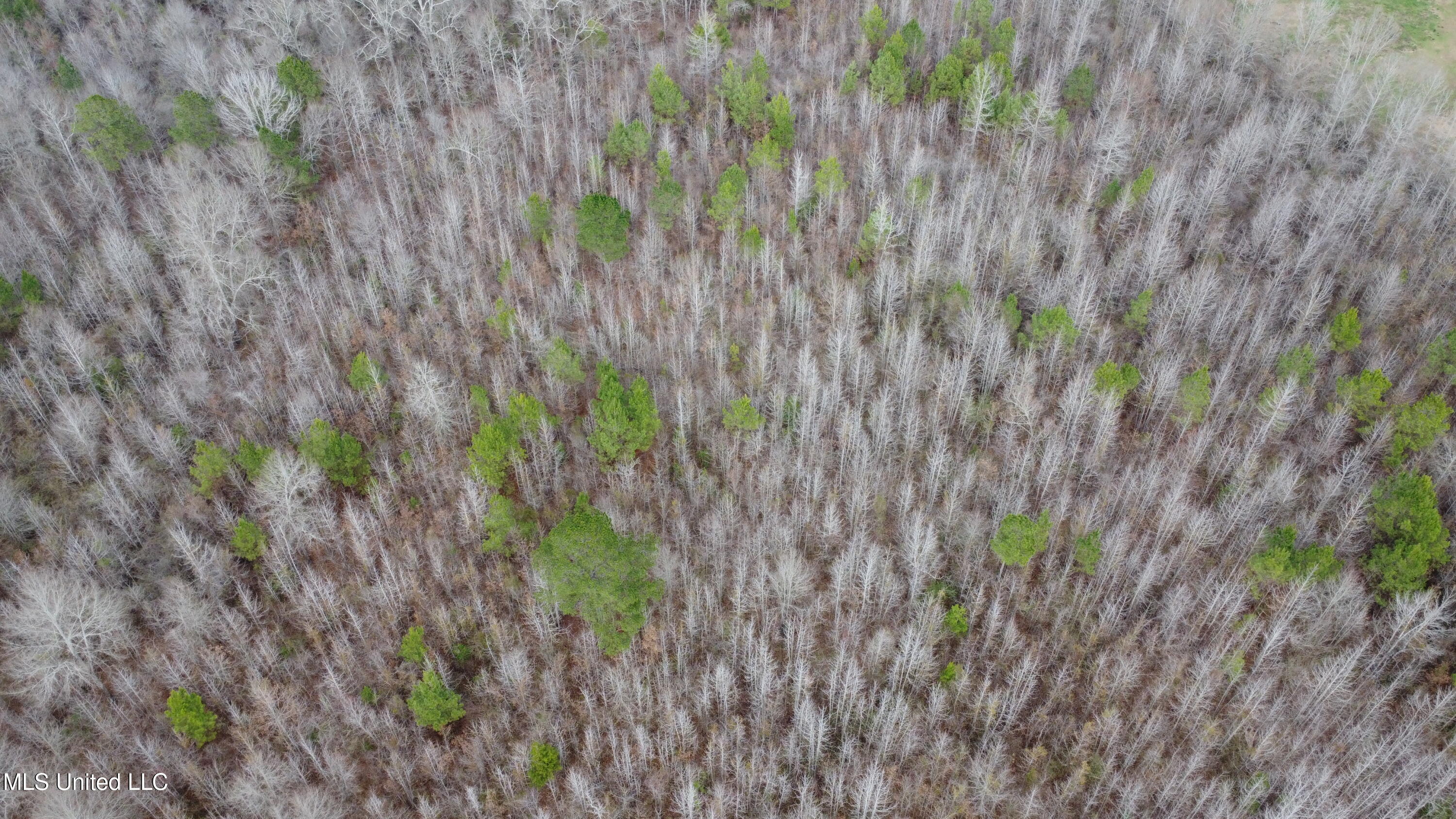 St-john Road Road Braxton, MS 39044 - Photo 38 of 38 DJI_0760