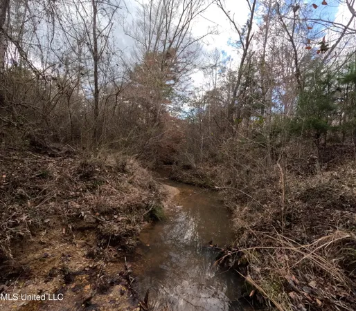 $485,000 | St-john Road Road, Braxton, MS 39044