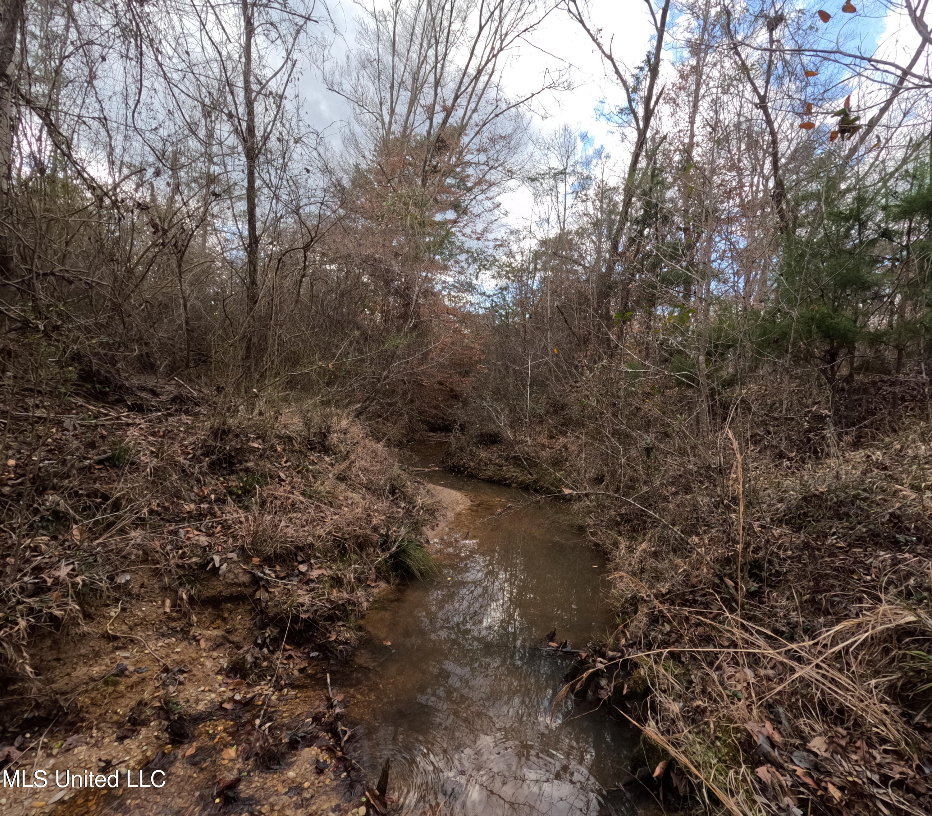 St-john Road Road Braxton, MS 39044 - Photo 4 of 38 GOPR0878