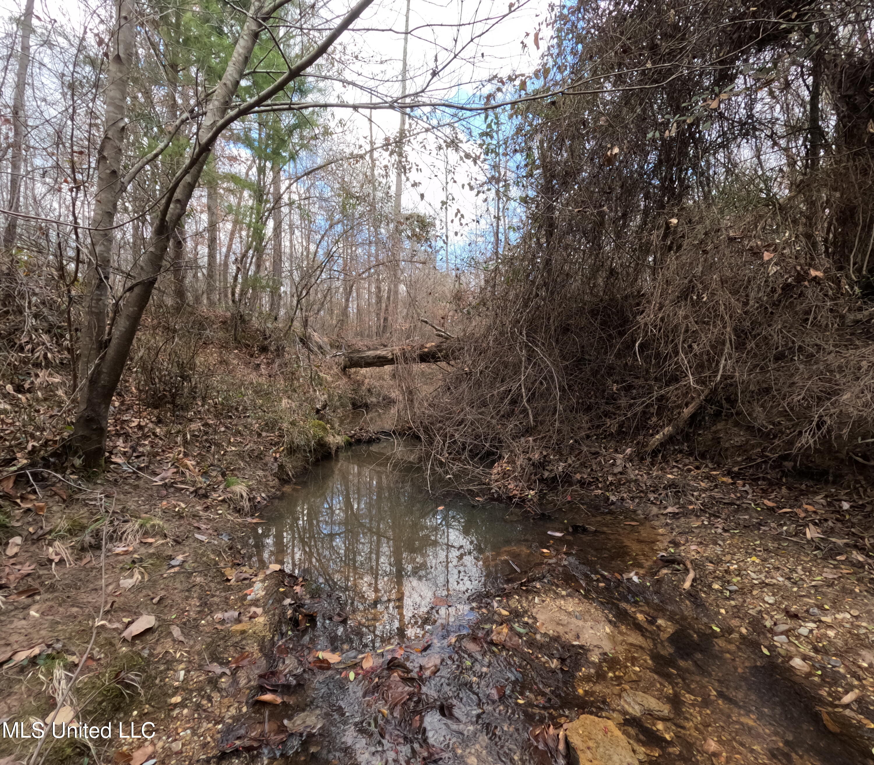 St-john Road Road Braxton, MS 39044 - Photo 5 of 38 GOPR0879