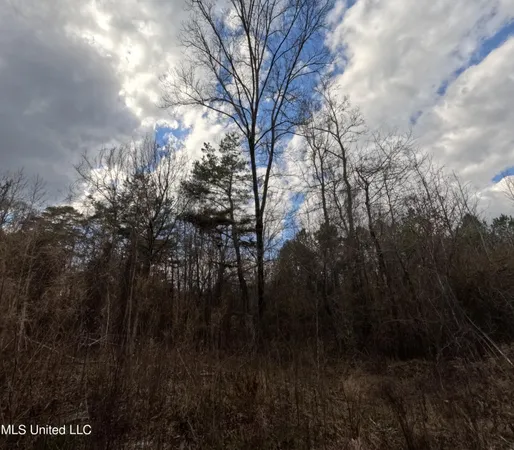 $485,000 | St-john Road Road, Braxton, MS 39044