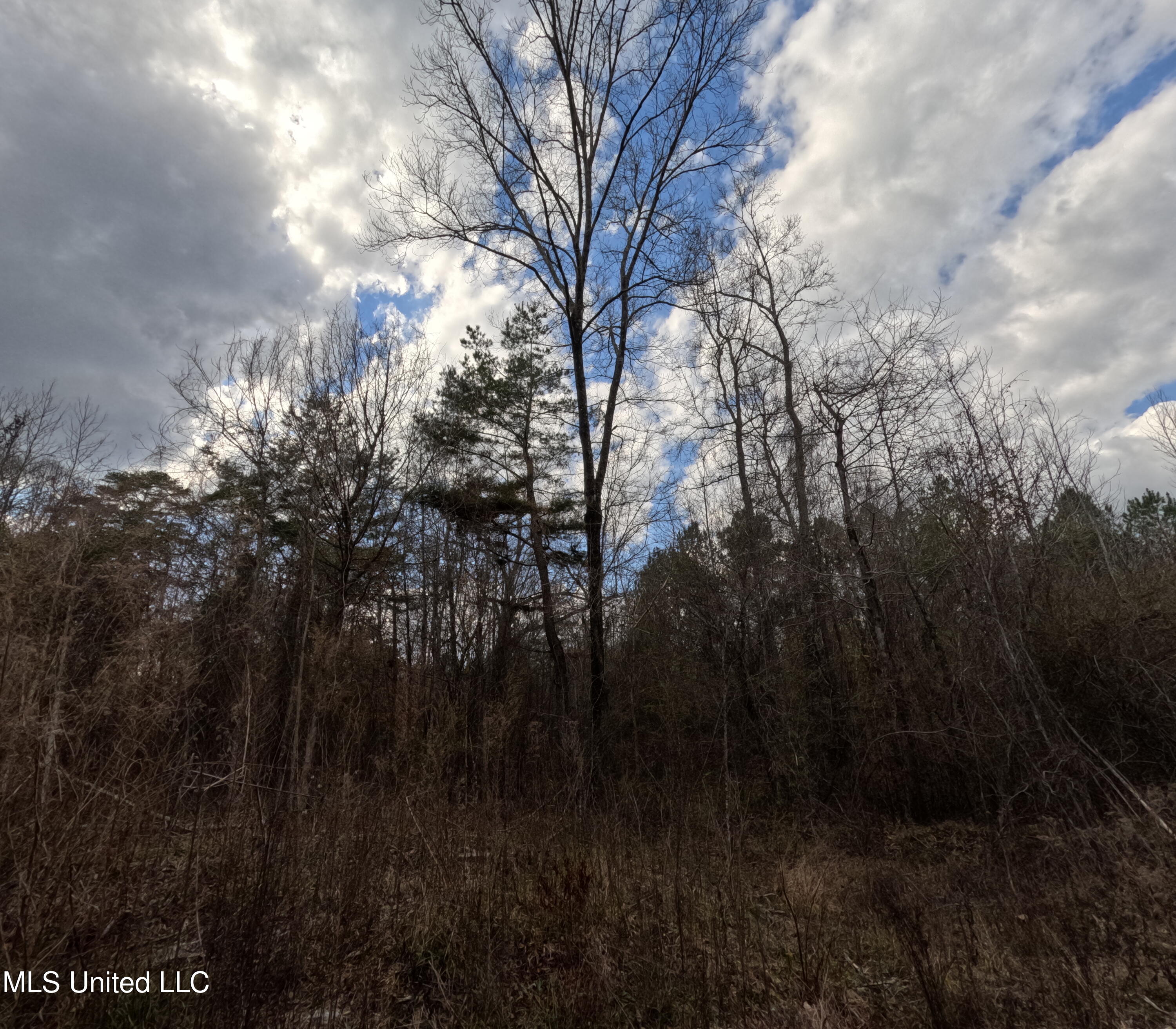 St-john Road Road Braxton, MS 39044 - Photo 6 of 38 GOPR0881