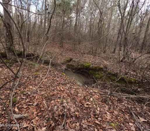 $485,000 | St-john Road Road, Braxton, MS 39044