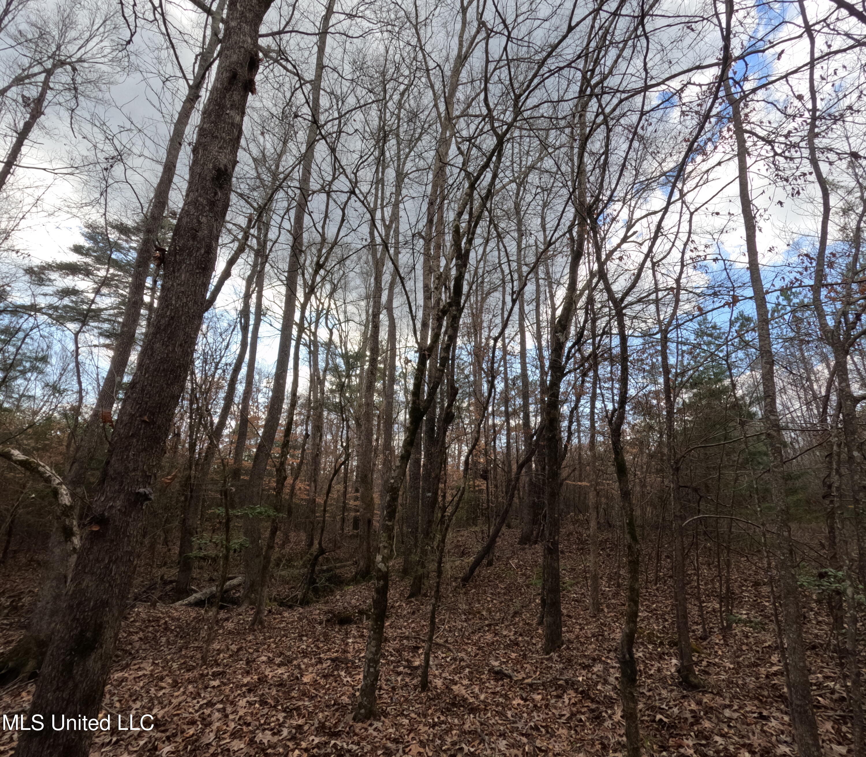 St-john Road Road Braxton, MS 39044 - Photo 9 of 38 GOPR0884