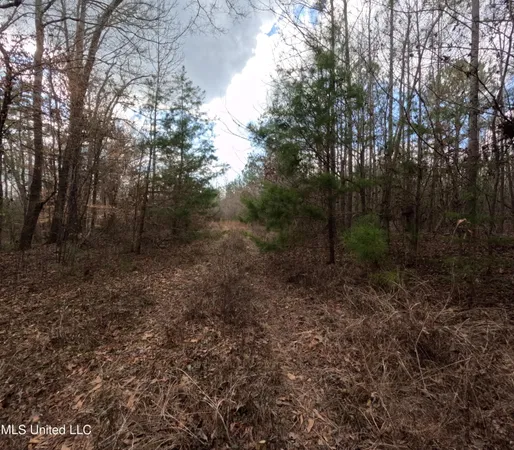 $485,000 | St-john Road Road, Braxton, MS 39044