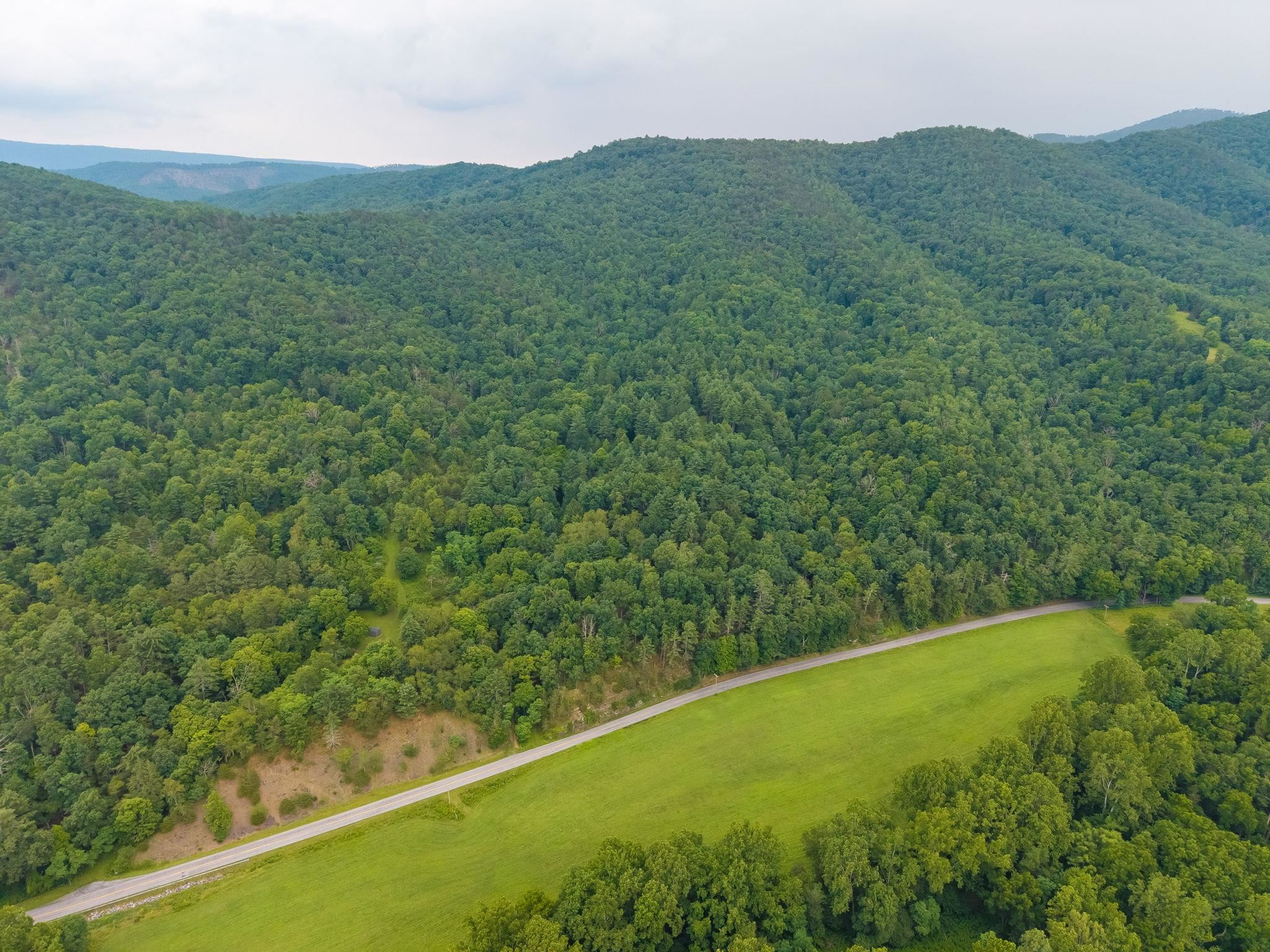 Tbd Criders Road Bergton, VA 22811 - Photo 17 of 22