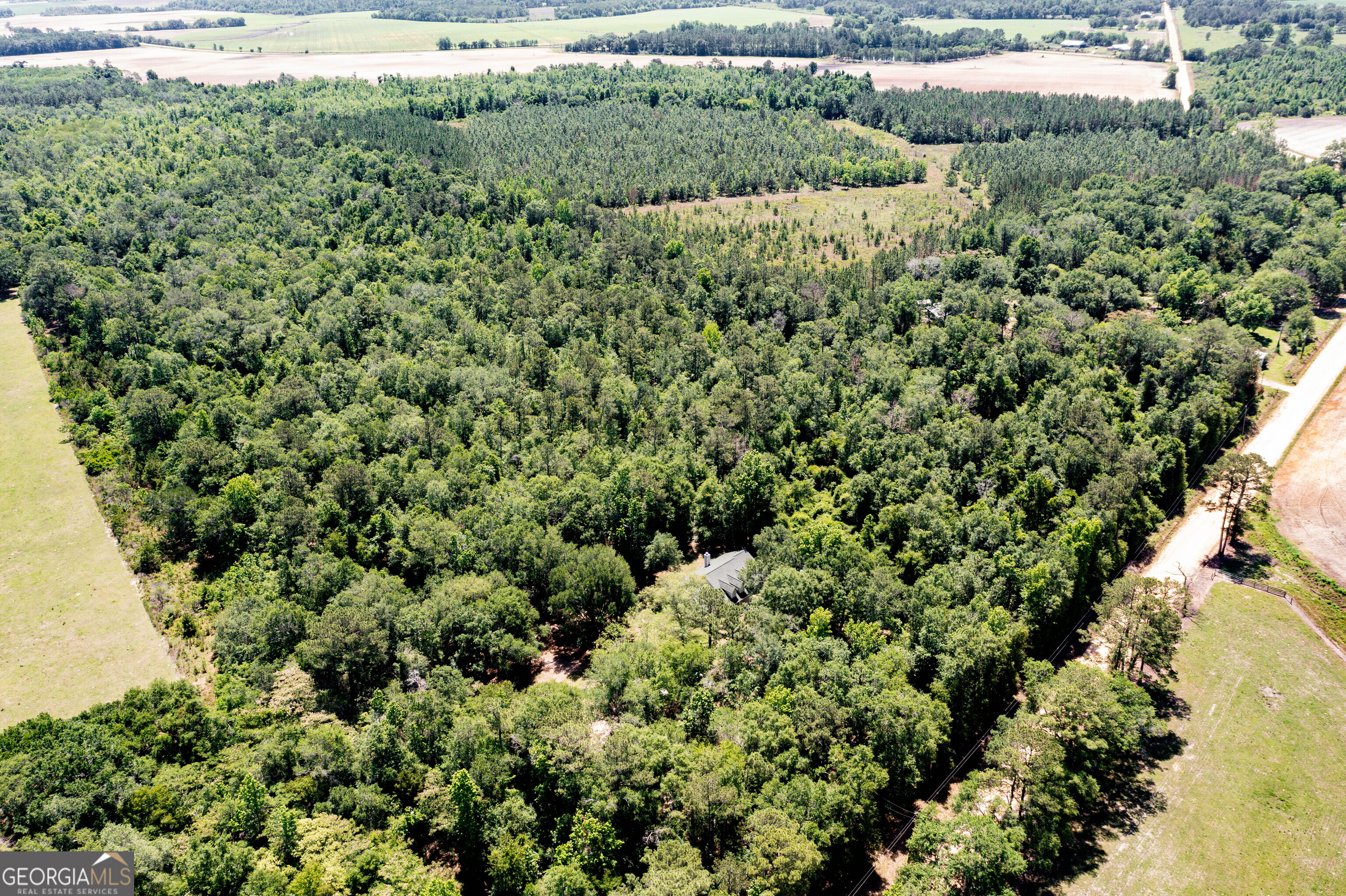 2116 Dot Harvey Road Jakin, GA 39861 - Photo 35 of 36