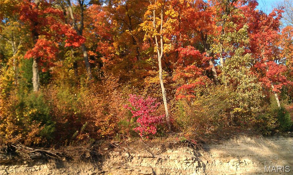 4485 Killdeer Drive Augusta, MO 63332 - Photo 83 of 84