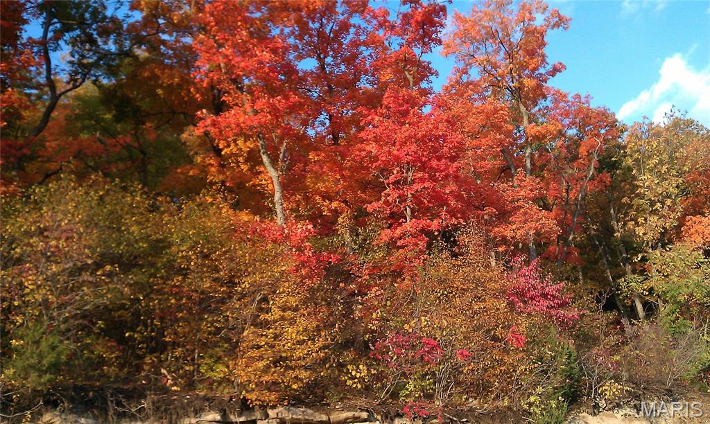 4485 Killdeer Drive Augusta, MO 63332 - Photo 84 of 84