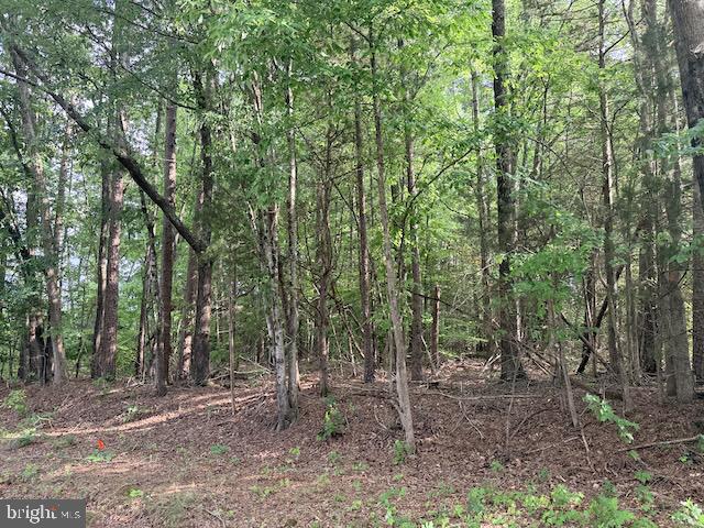 Skipwith Road Boydton, VA 23917 - Photo 2 of 8 Gallery Image 2