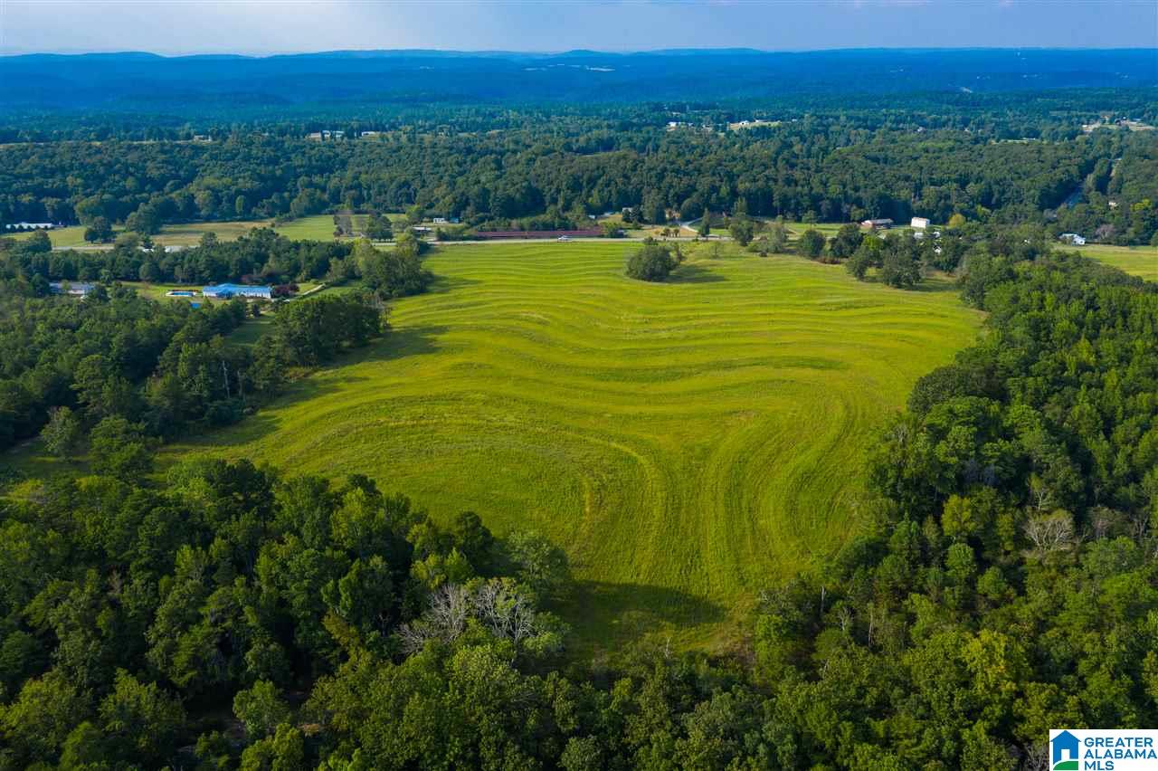 0 County Road 27, Unit 46 ACRES Springville, AL 35146 - Photo 11 of 11