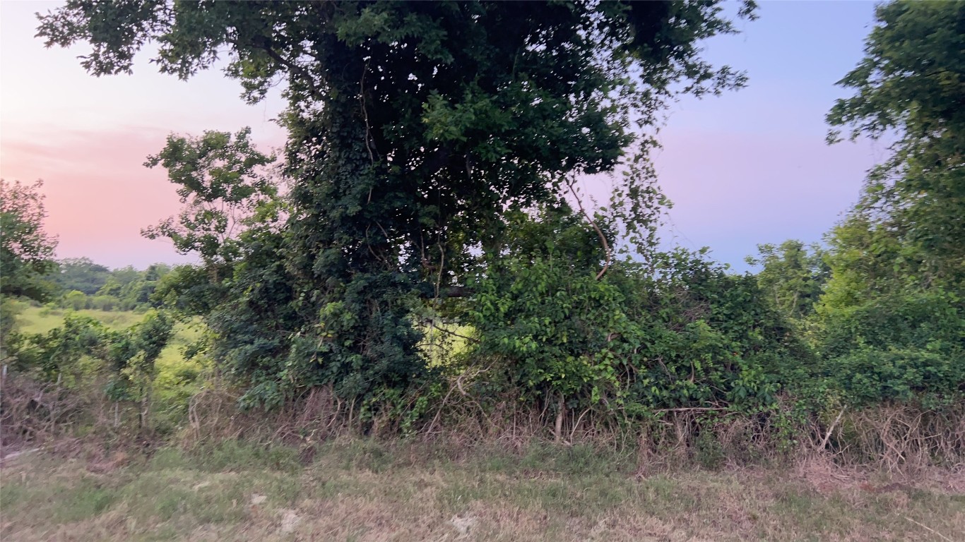 0 County Road 31 Angleton, TX 77515 - Photo 11 of 11