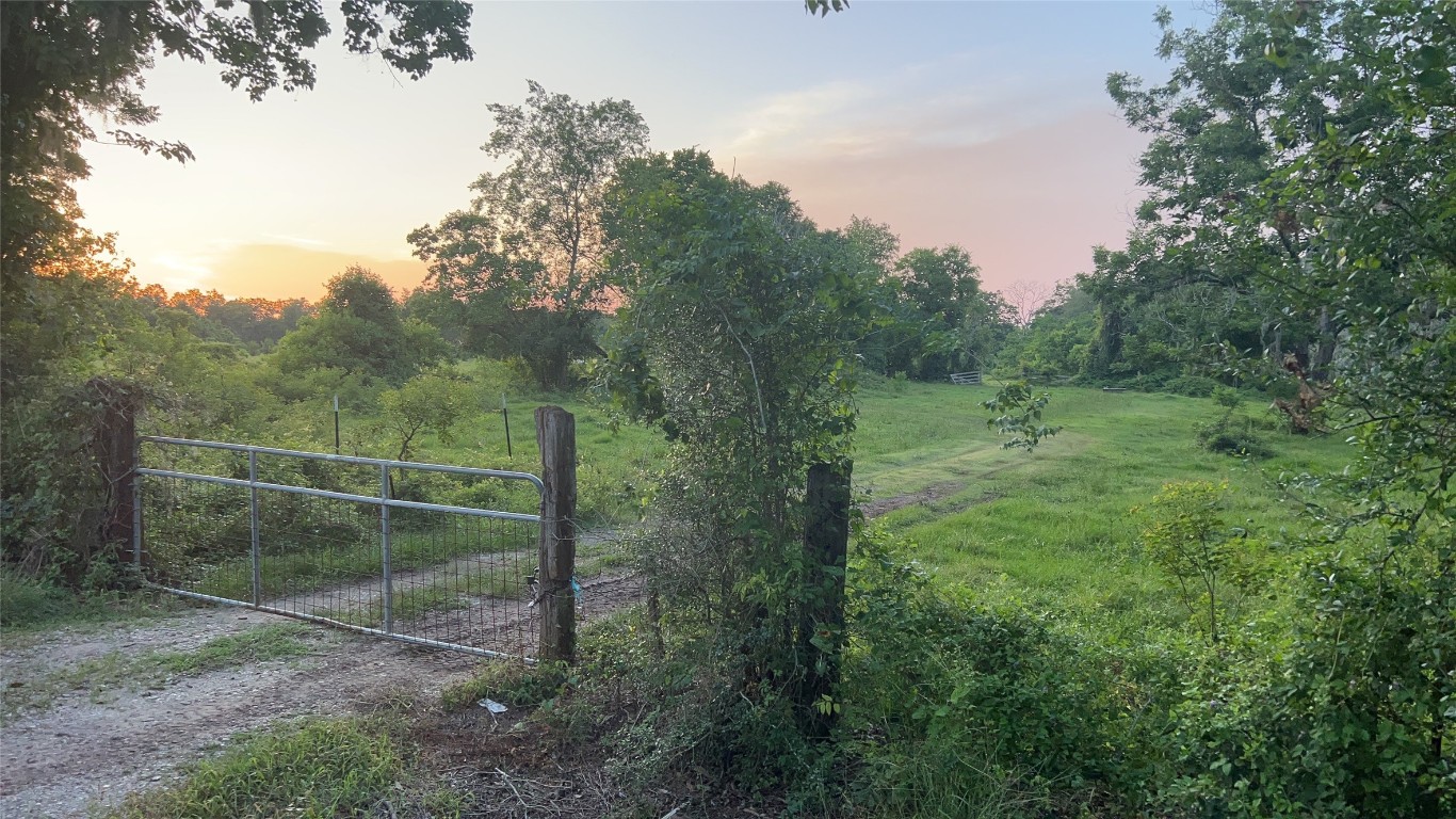 0 County Road 31 Angleton, TX 77515 - Photo 3 of 11