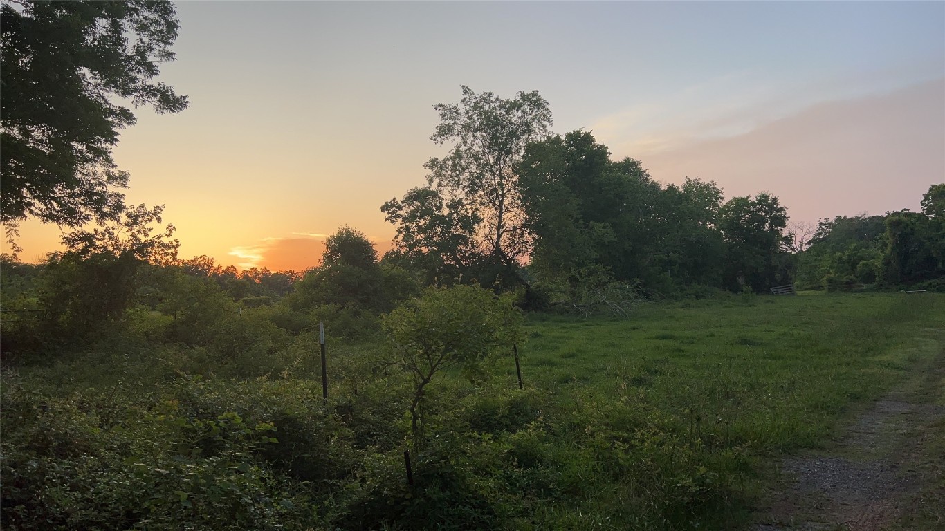 0 County Road 31 Angleton, TX 77515 - Photo 4 of 11