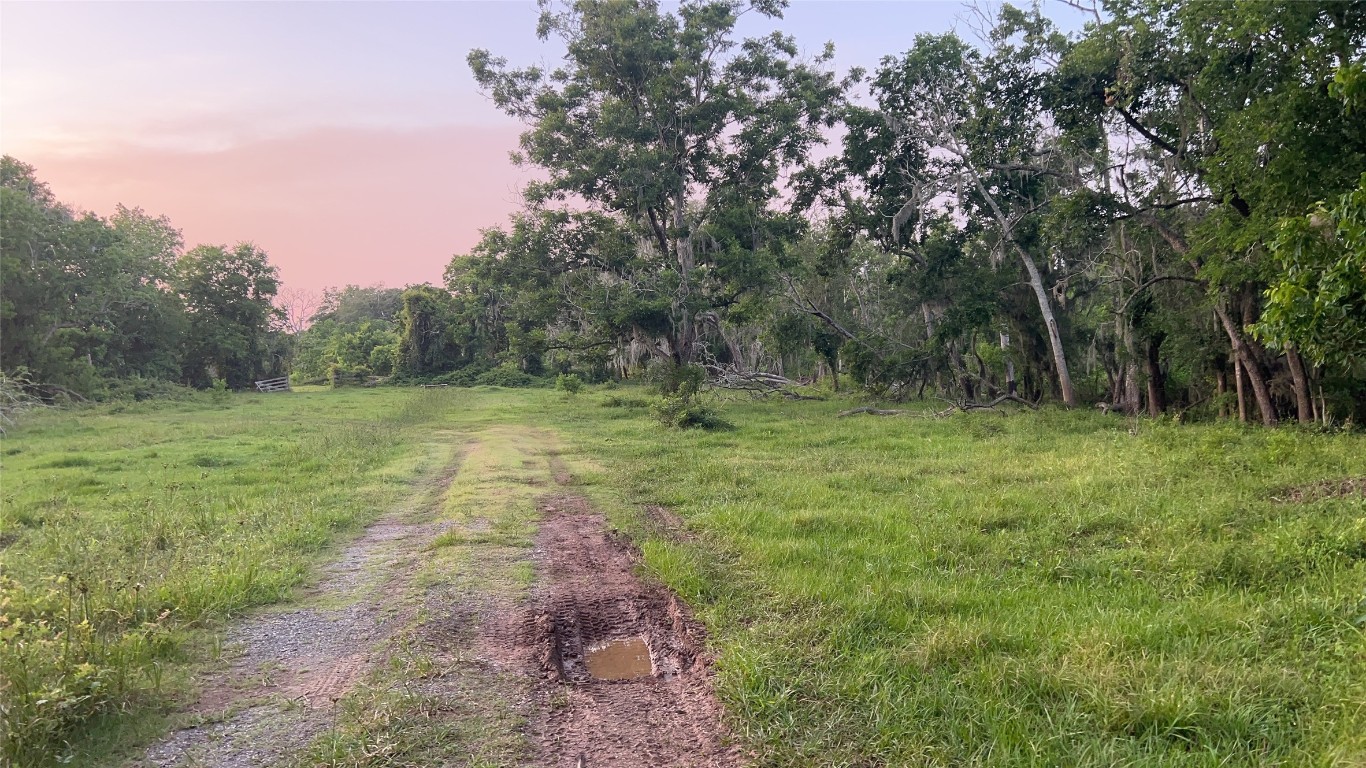 0 County Road 31 Angleton, TX 77515 - Photo 5 of 11