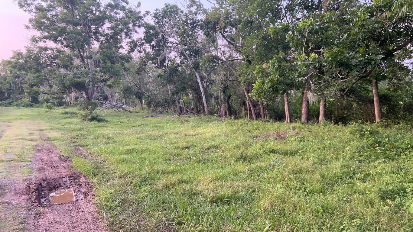 0 County Road 31 Angleton, TX 77515 - Photo 6 of 11