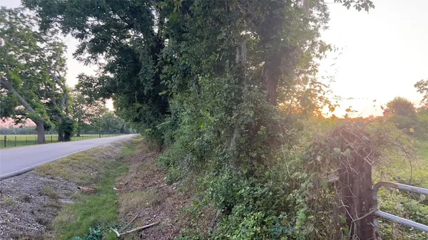 a view of a yard with plants and trees