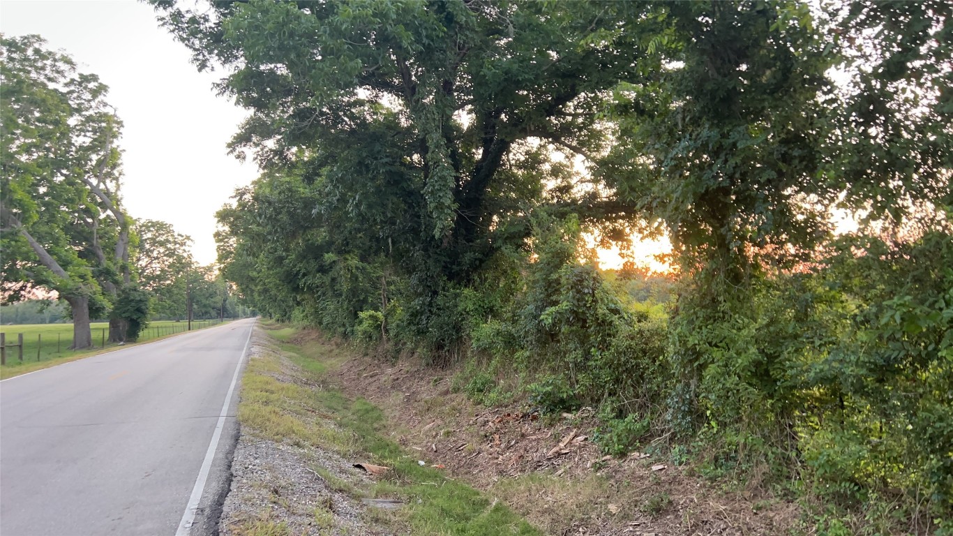 0 County Road 31 Angleton, TX 77515 - Photo 8 of 11